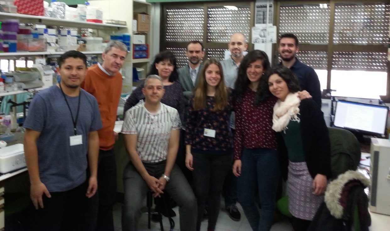 Pignatelli_grupo